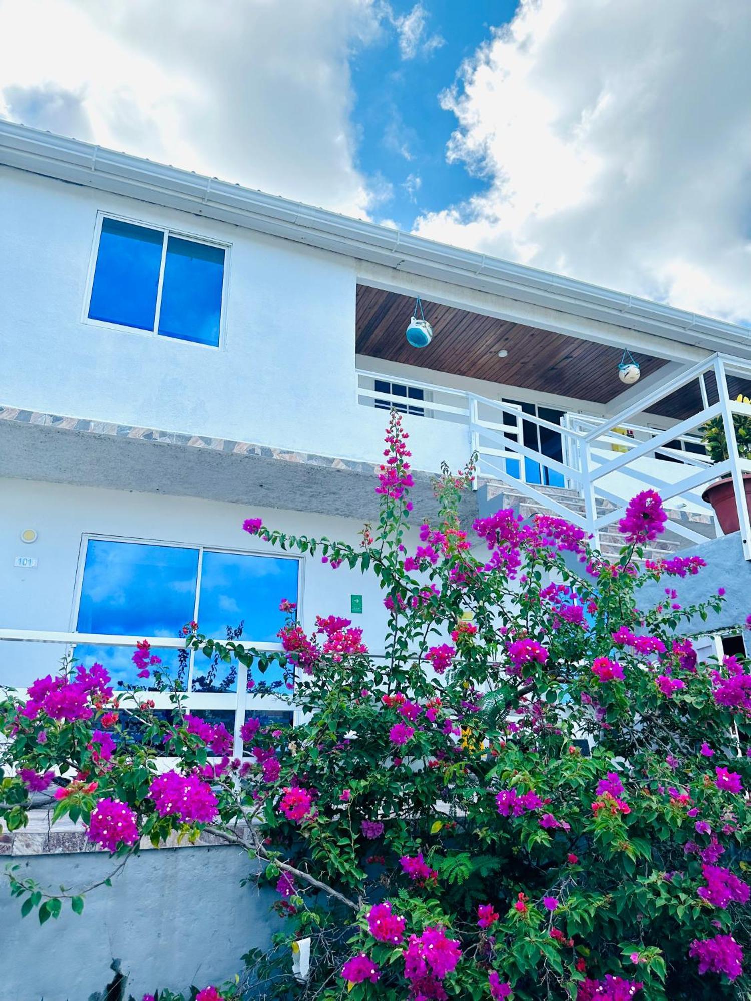 Posada Lkjay Providencia Isla Exterior photo